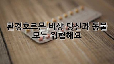 🚨 환경호르몬 비상! 당신과 동물 모두 위험해요 🚨