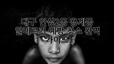 대구 안심2동 용계동 알레르기 예방 청소 완벽 가이드